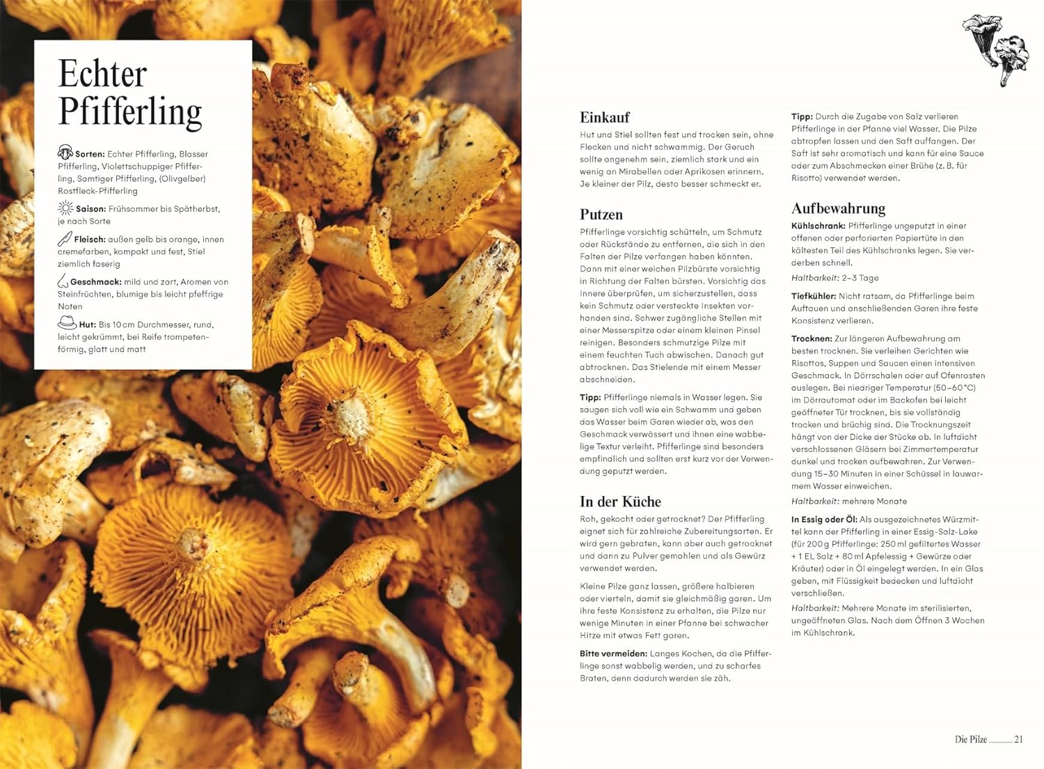 Pilze. Das Kochbuch: Klassische und kreative Rezepte mit Champignons, Seitlingen, Enoki und mehr. Über 60 Pilz-Gerichte & Porträts zu beliebten Pilzsorten DK Verlag Dorling Kindersley