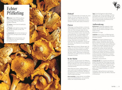 Pilze. Das Kochbuch: Klassische und kreative Rezepte mit Champignons, Seitlingen, Enoki und mehr. Über 60 Pilz-Gerichte & Porträts zu beliebten Pilzsorten DK Verlag Dorling Kindersley