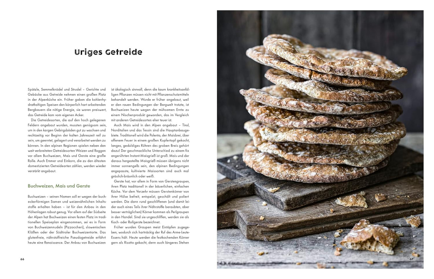 Deftig vegetarisch – Alpenküche, Schmoren, Backen, Braten, Rösten, Einlegen