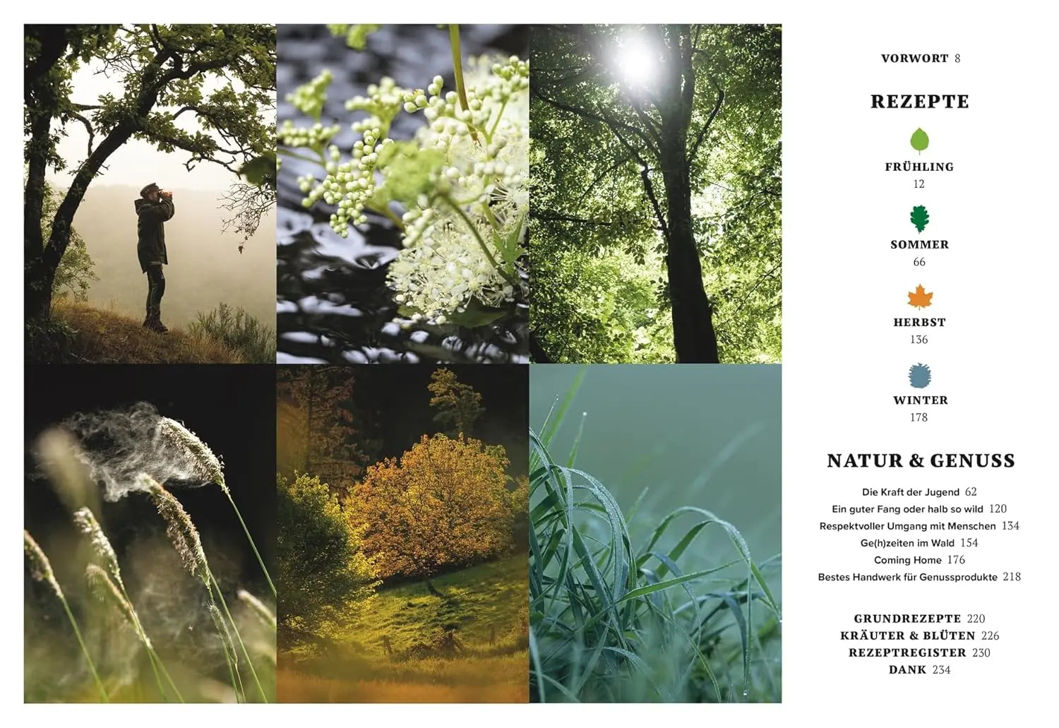 Wilde Zeiten Küche: Unsere Rezepte rund ums Jahr. Wilde Genussrezepte von Wald und Wiese mit Fleisch, Fisch, Kräutern und Pflanzen – natürlich regional DK Verlag Dorling Kindersley