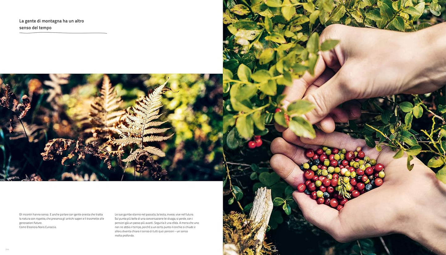 Cook The Mountain [Edizione italiana; 2 Bde. im Schuber]  Untertitel The Nature Around You. 2020 Premiato con il German Cookbook Award Gold & GOURMAND AWARD GERMANY »Man Chef Book«