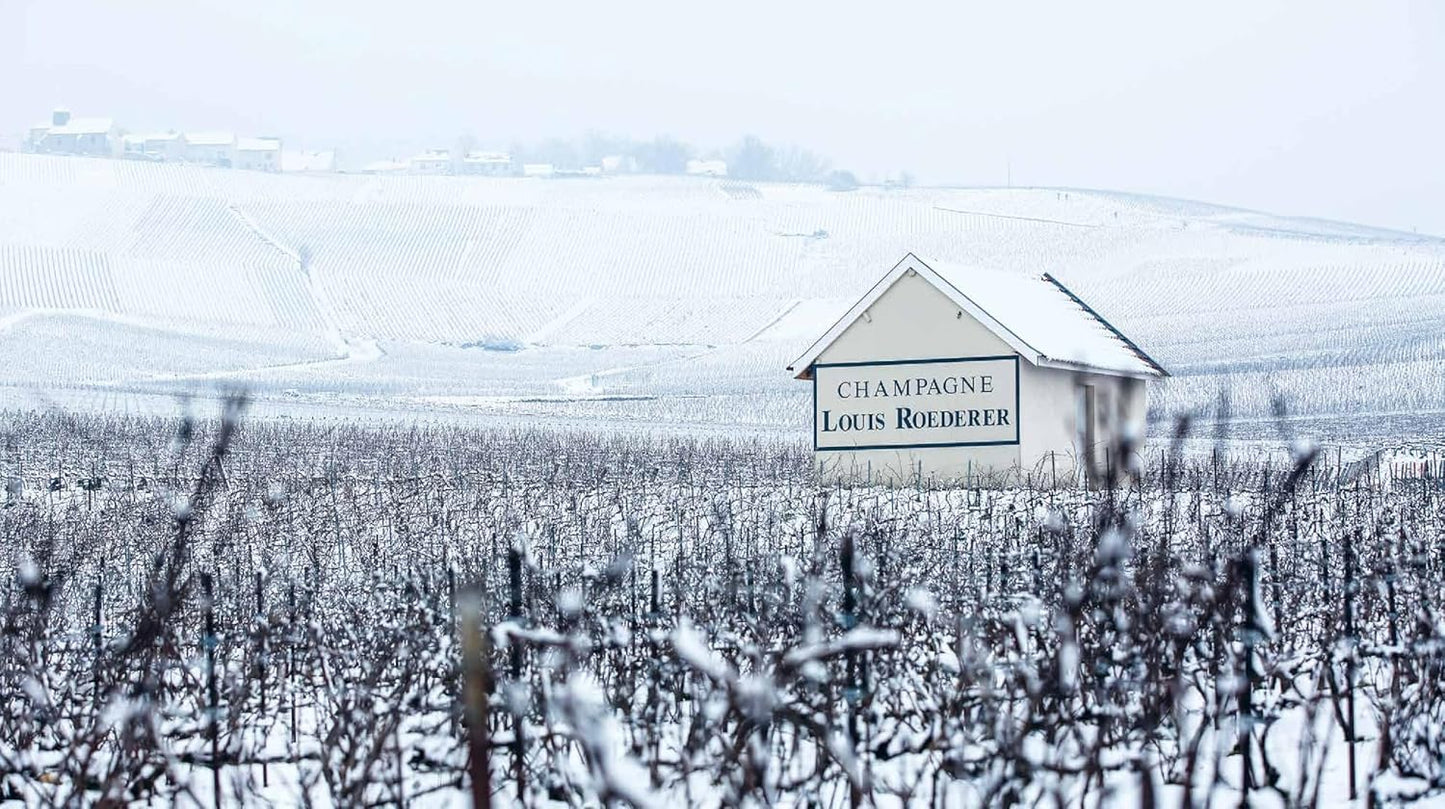 Champagner - Das Buch, Herstellung Genuss Kultur