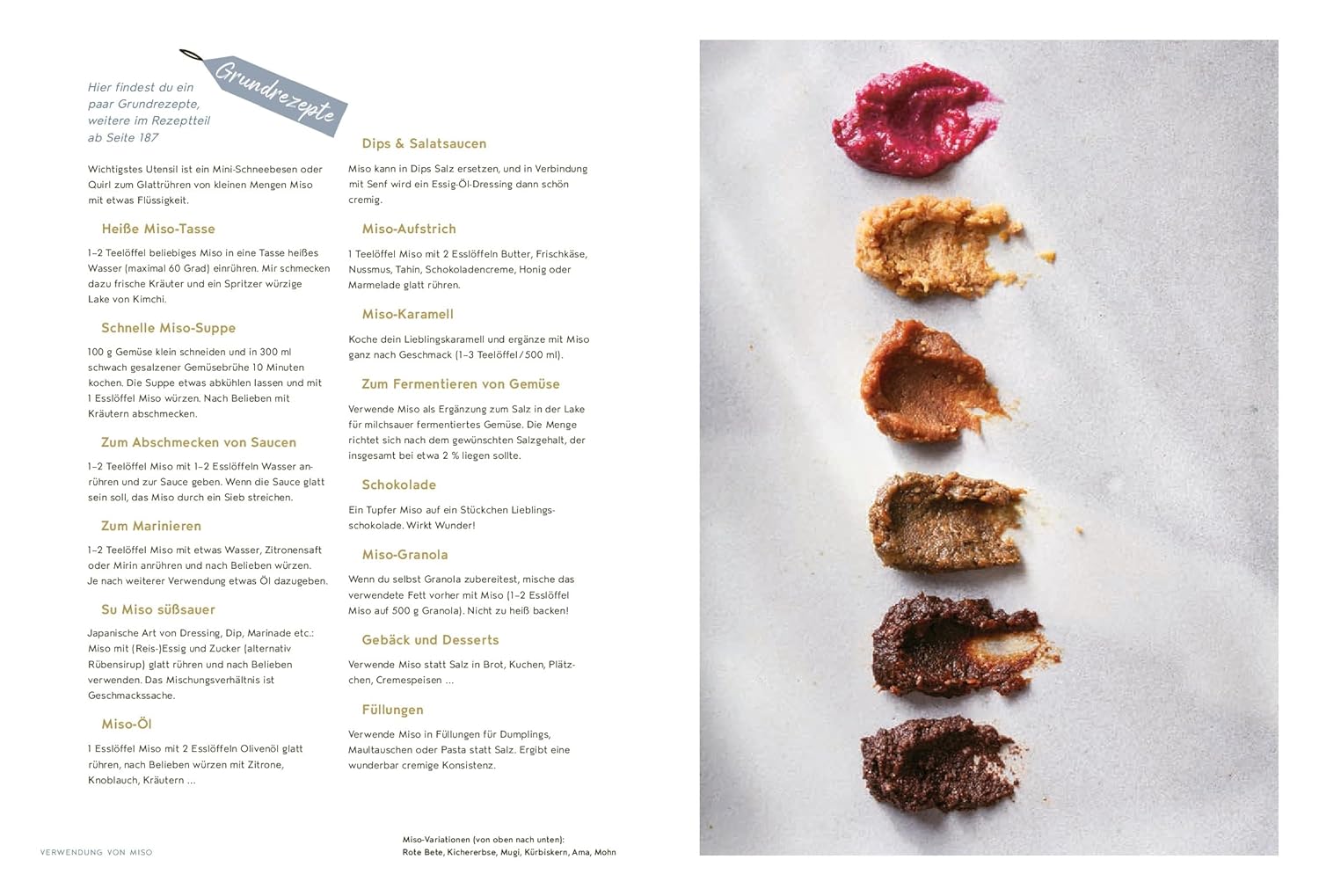 Koji Miso Shoyu Tempeh - Asiatische Fermentation mit heimischen Zutaten – Anleitungen und Rezepte AT Verlag