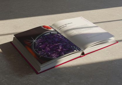 Forever Beautiful: Heilnahrung für Körper & Seele: Longevity-Küche mit Heilpflanzenwissen, Phyto Healing & 64 saisonalen Rezepten für innere Balance und natürliche Schönheit Malia Verlag