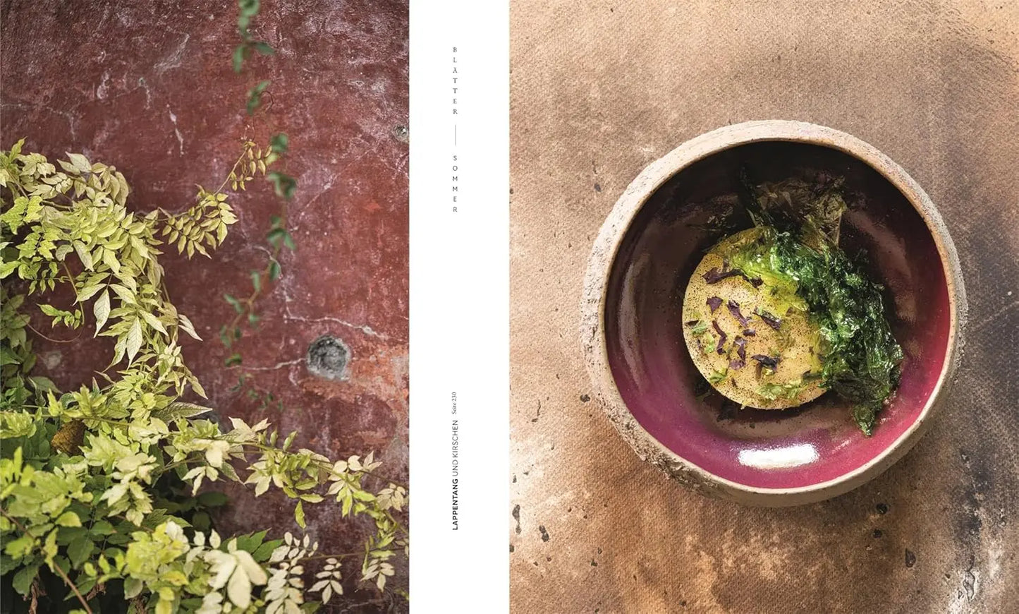 Mirazur: Im Zeichen des Mondes. 64 einzigartige Rezepte von Sternekoch Mauro Colagreco – biodynamisch und nachhaltig Matthaes