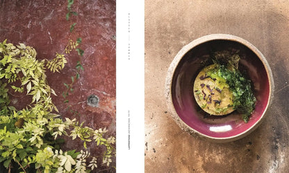 Mirazur: Im Zeichen des Mondes. 64 einzigartige Rezepte von Sternekoch Mauro Colagreco – biodynamisch und nachhaltig Matthaes