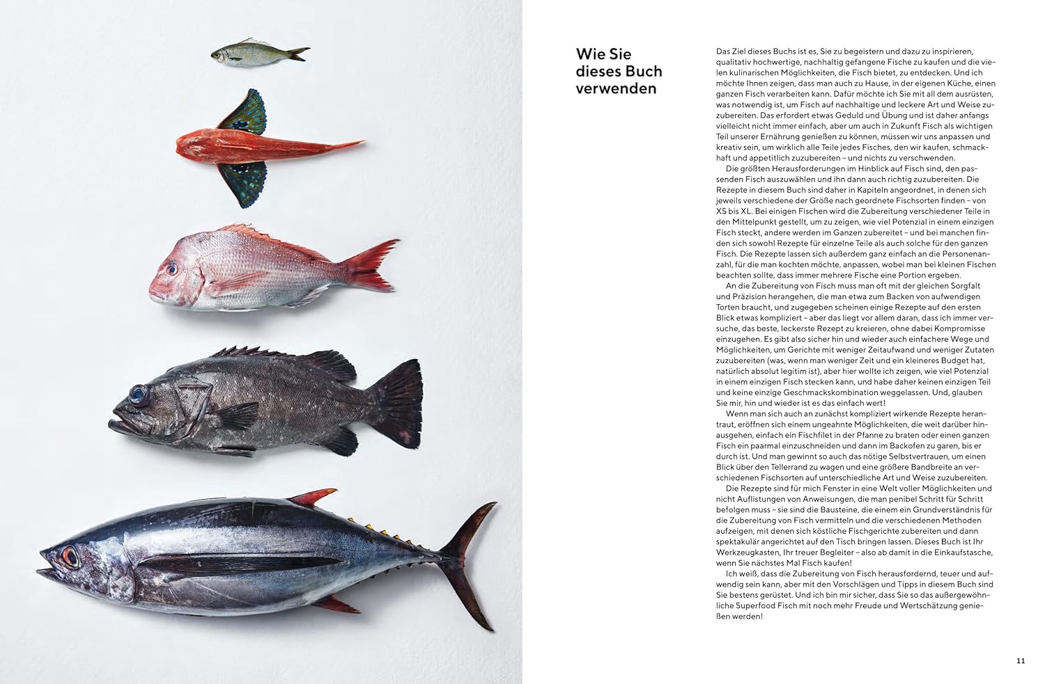 Man nehme einen Fisch: Neue Rezepte von der Flosse bis zur Kieme. 60 nachhaltige Zubereitungsvorschläge (u.a. gegrillt, gebacken, paniert, gefüllt, geräuchert oder trockengereift) Prestel