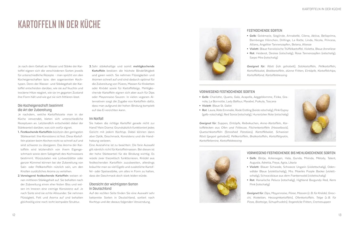 Kartoffel - Das große Kochbuch;  Einfach gute Rezepte - Über 120 Grundrezepte und Varianten, Klassiker und Spezialitäten aus aller Welt ZS Verlag