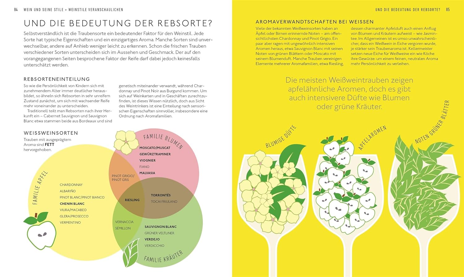 Workshop Wein: Spannendes Weinseminar mit Verkostungsvorschlägen und umfangreichem Wein-Wissen (Entdecken. Verkosten. Genießen.) DK Verlag Dorling Kindersley