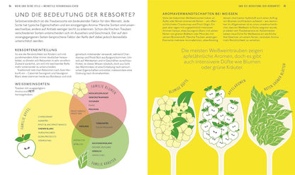 Workshop Wein: Spannendes Weinseminar mit Verkostungsvorschlägen und umfangreichem Wein-Wissen (Entdecken. Verkosten. Genießen.) DK Verlag Dorling Kindersley