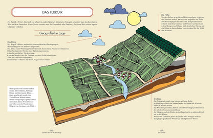 Wein: Vom Einsteiger zum Kenner. Der illustrierte Guide. Verstehen, kaufen, verkosten und pairen: Der umfassende Wein-Grundkurs. Weinwissen einfach und humorvoll vermittelt DK Verlag Dorling Kindersley