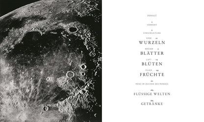 Mirazur: Im Zeichen des Mondes. 64 einzigartige Rezepte von Sternekoch Mauro Colagreco – biodynamisch und nachhaltig Matthaes