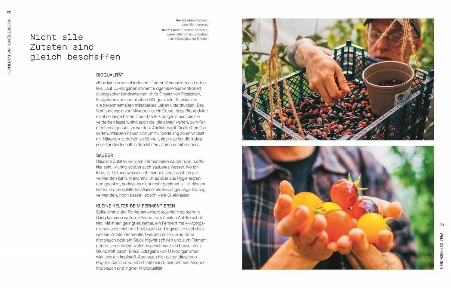 Fermentieren. Rezepte und Techniken für Geschmack, den man nicht kaufen kann: Kimchi, Kombucha, Miso und mehr. Fundiertes Wissen einfach erklärt KochKontor