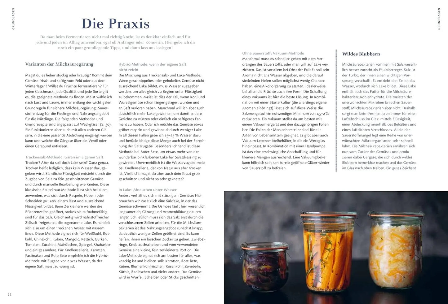 Gemüse und Obst einfach fermentieren: Rezepte und Grundwissen für sicheres Gelingen. Regionale und saisonale Lebensmittel durch Fermentation haltbar machen – natürlich, nachhaltig, gesund AT Verlag