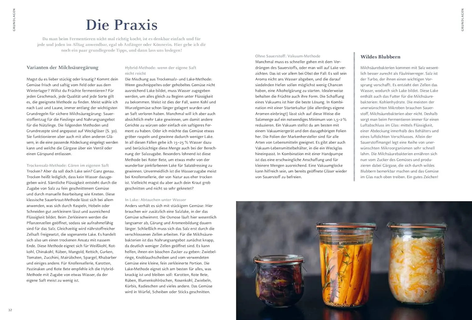 Gemüse und Obst einfach fermentieren: Rezepte und Grundwissen für sicheres Gelingen. Regionale und saisonale Lebensmittel durch Fermentation haltbar machen – natürlich, nachhaltig, gesund AT Verlag