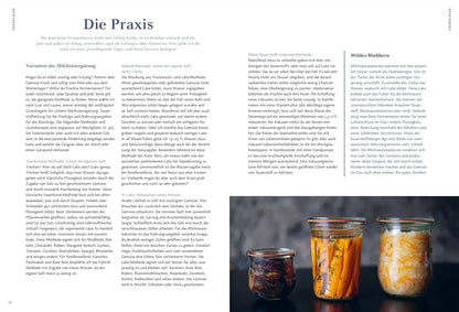 Gemüse und Obst einfach fermentieren: Rezepte und Grundwissen für sicheres Gelingen. Regionale und saisonale Lebensmittel durch Fermentation haltbar machen – natürlich, nachhaltig, gesund AT Verlag