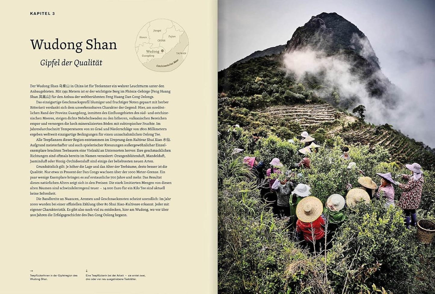 Teatrip - Eine faszinierende Reise durch das Reich der Mitte