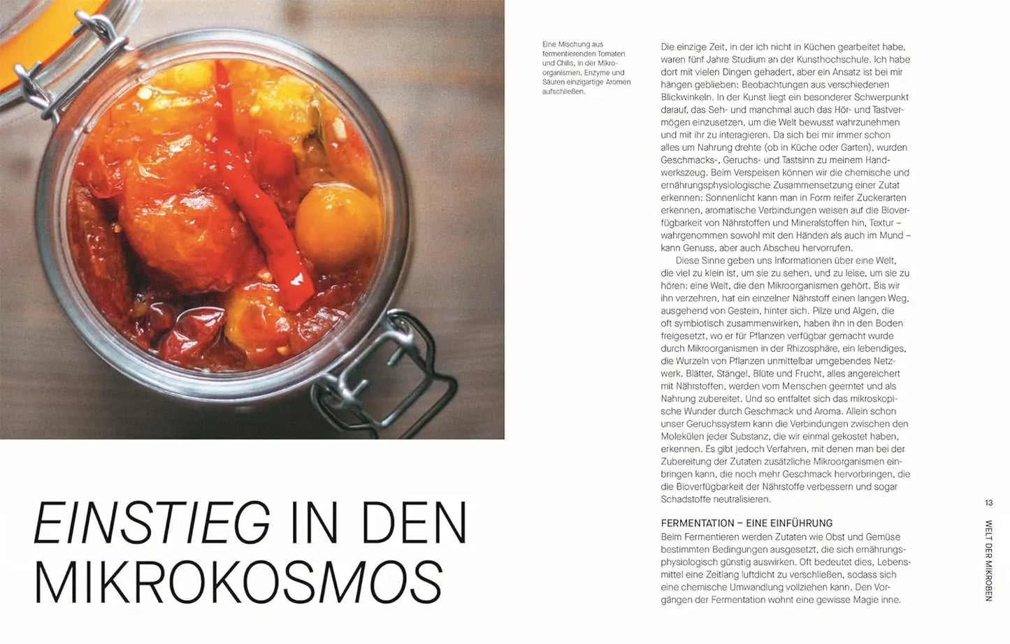 Fermentieren. Rezepte und Techniken für Geschmack, den man nicht kaufen kann: Kimchi, Kombucha, Miso und mehr. Fundiertes Wissen einfach erklärt KochKontor