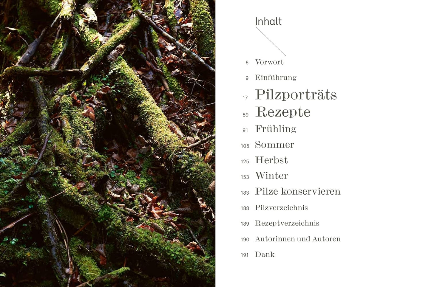 Pilze aus Wald und Stadt: Rezepte und Porträts. Kunstvolle Pilzporträts, Expertenwissen und saisonale vegetarische Rezepte AT Verlag