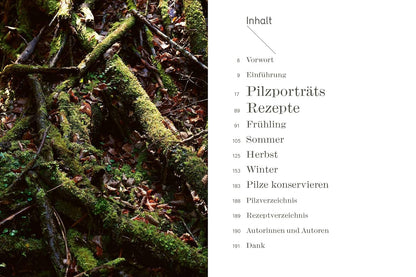 Pilze aus Wald und Stadt: Rezepte und Porträts. Kunstvolle Pilzporträts, Expertenwissen und saisonale vegetarische Rezepte AT Verlag