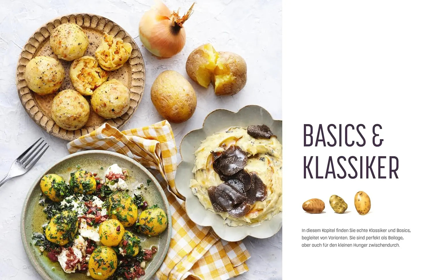 Kartoffel - Das große Kochbuch;  Einfach gute Rezepte - Über 120 Grundrezepte und Varianten, Klassiker und Spezialitäten aus aller Welt ZS Verlag