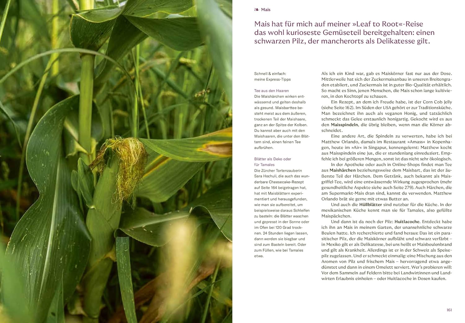 Leaf to Root – Express: Von Blatt bis Wurzel. Einfache Rezepte für spezielle Gemüseteile AT Verlag