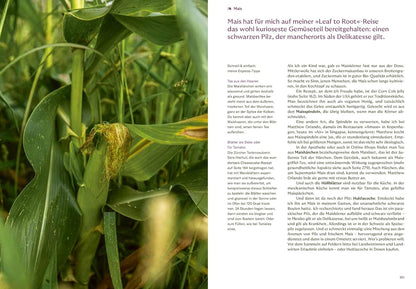 Leaf to Root – Express: Von Blatt bis Wurzel. Einfache Rezepte für spezielle Gemüseteile AT Verlag