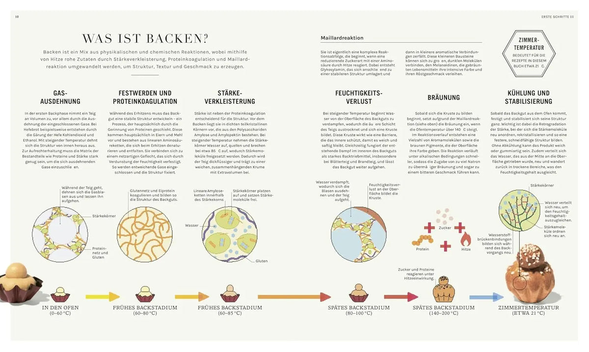 Backen - (k)eine Wissenschaft: Praktisches Know-how aus der Backstube und Hintergrundwissen aus dem Labor. 50 Rezepte für Bäcker*innen