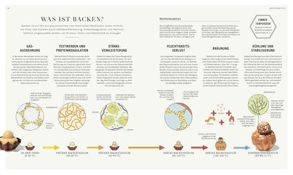 Backen - (k)eine Wissenschaft: Praktisches Know-how aus der Backstube und Hintergrundwissen aus dem Labor. 50 Rezepte für Bäcker*innen