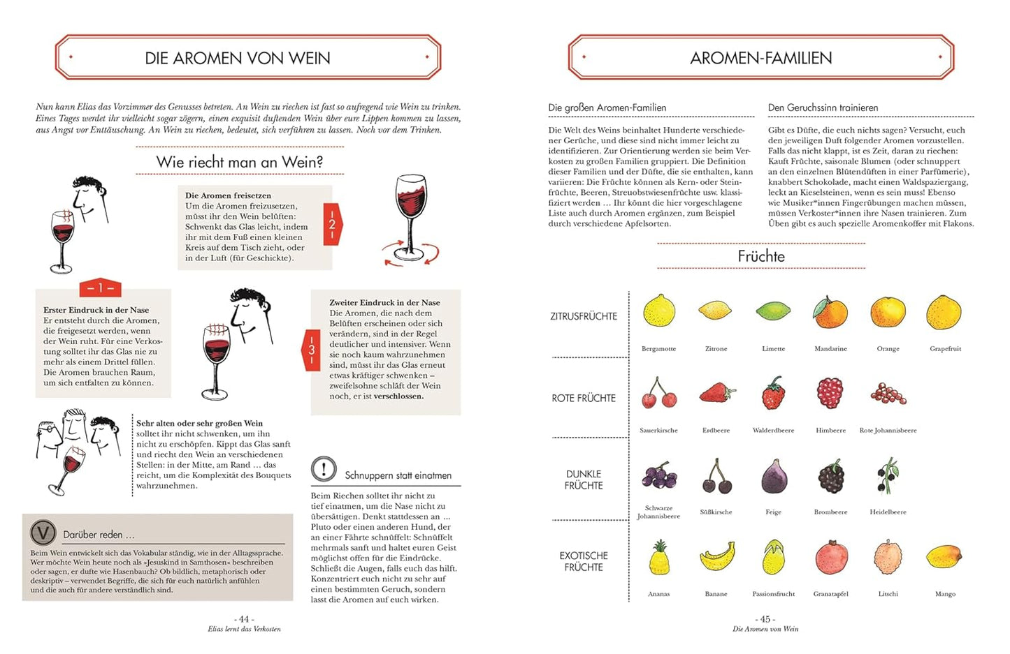 Wein: Vom Einsteiger zum Kenner. Der illustrierte Guide. Verstehen, kaufen, verkosten und pairen: Der umfassende Wein-Grundkurs. Weinwissen einfach und humorvoll vermittelt DK Verlag Dorling Kindersley