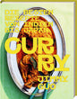 Curry: Die besten Rezepte von Indien bis Japan: Über 50 Curry-Rezepte aus Asien und der Welt – mit Anleitungen und Gewürztipps Hölker Verlag