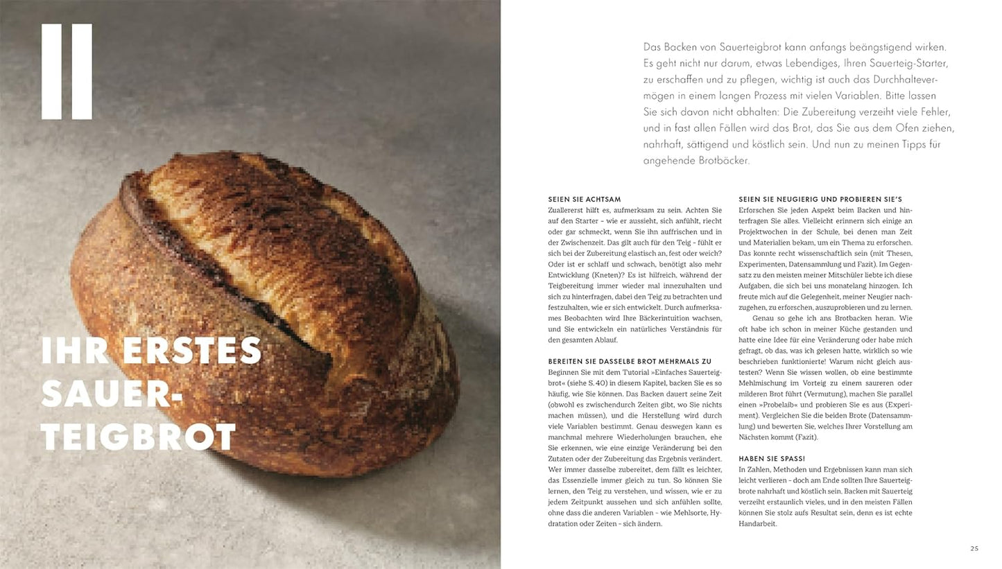 Das große Buch vom Sauerteig: Über 100 Rezepte und Anleitungen für Brote, Gebäck und Süßes. Mit Video-Tutorials zu Teigen und Techniken. Pizza, Brot, Bagels, Zimtschnecken u. v. m.