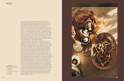 Kapusta: Osteuropäische Gemüseküche. Von Polen über Tschechien bis Belarus. Leckere Rezepte aus der traditionellen osteuropäischen Küche DK Verlag Dorling Kindersley