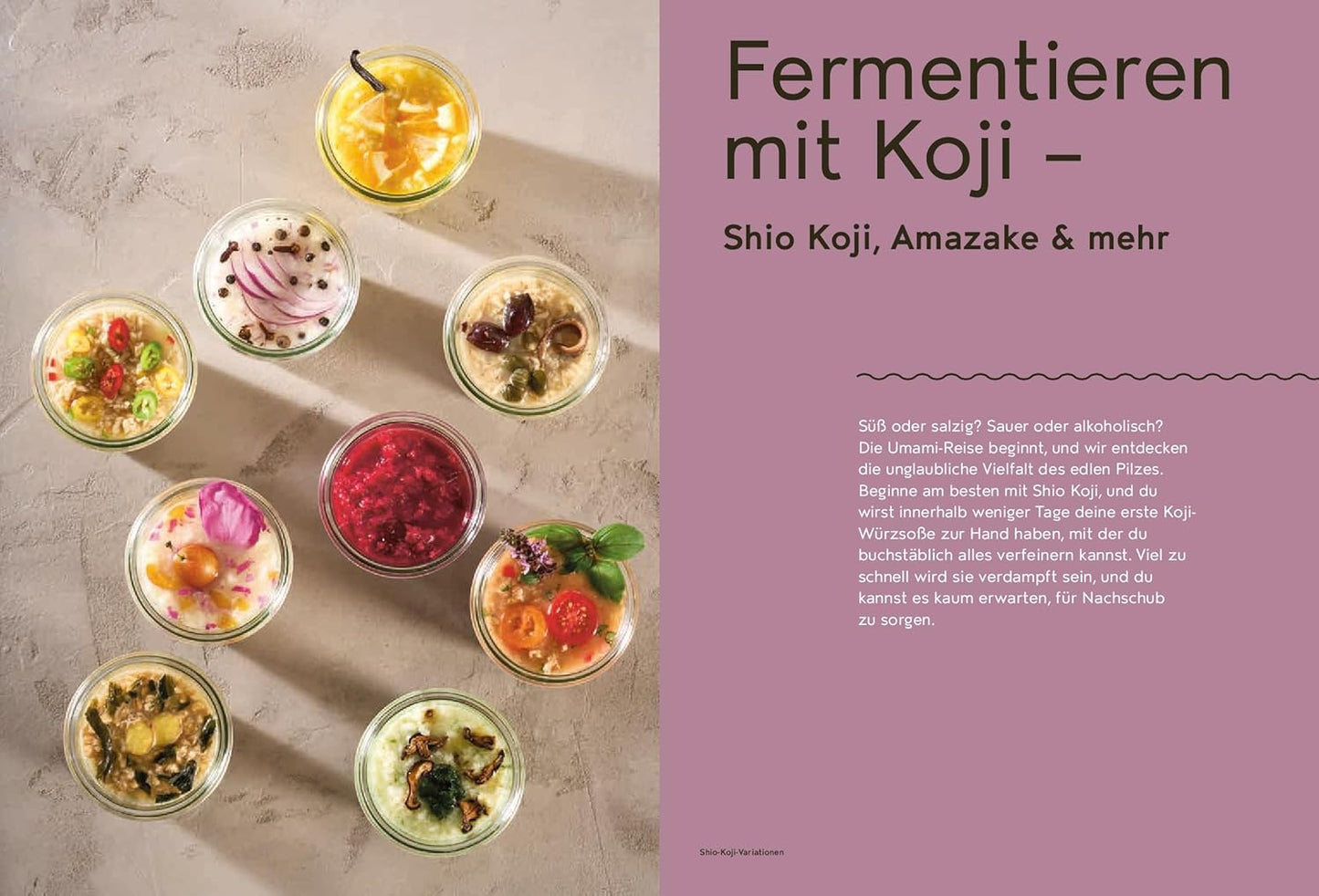 Koji Miso Shoyu Tempeh - Asiatische Fermentation mit heimischen Zutaten – Anleitungen und Rezepte AT Verlag