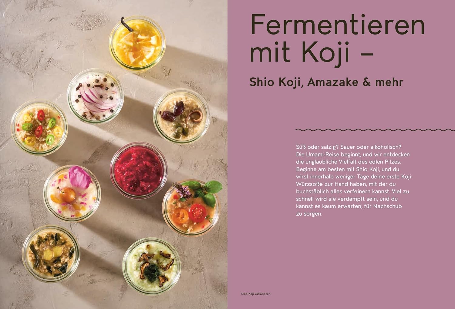 Koji Miso Shoyu Tempeh - Asiatische Fermentation mit heimischen Zutaten – Anleitungen und Rezepte AT Verlag