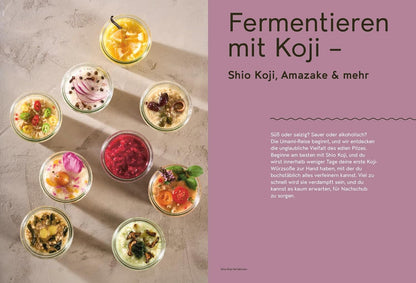 Koji Miso Shoyu Tempeh - Asiatische Fermentation mit heimischen Zutaten – Anleitungen und Rezepte AT Verlag