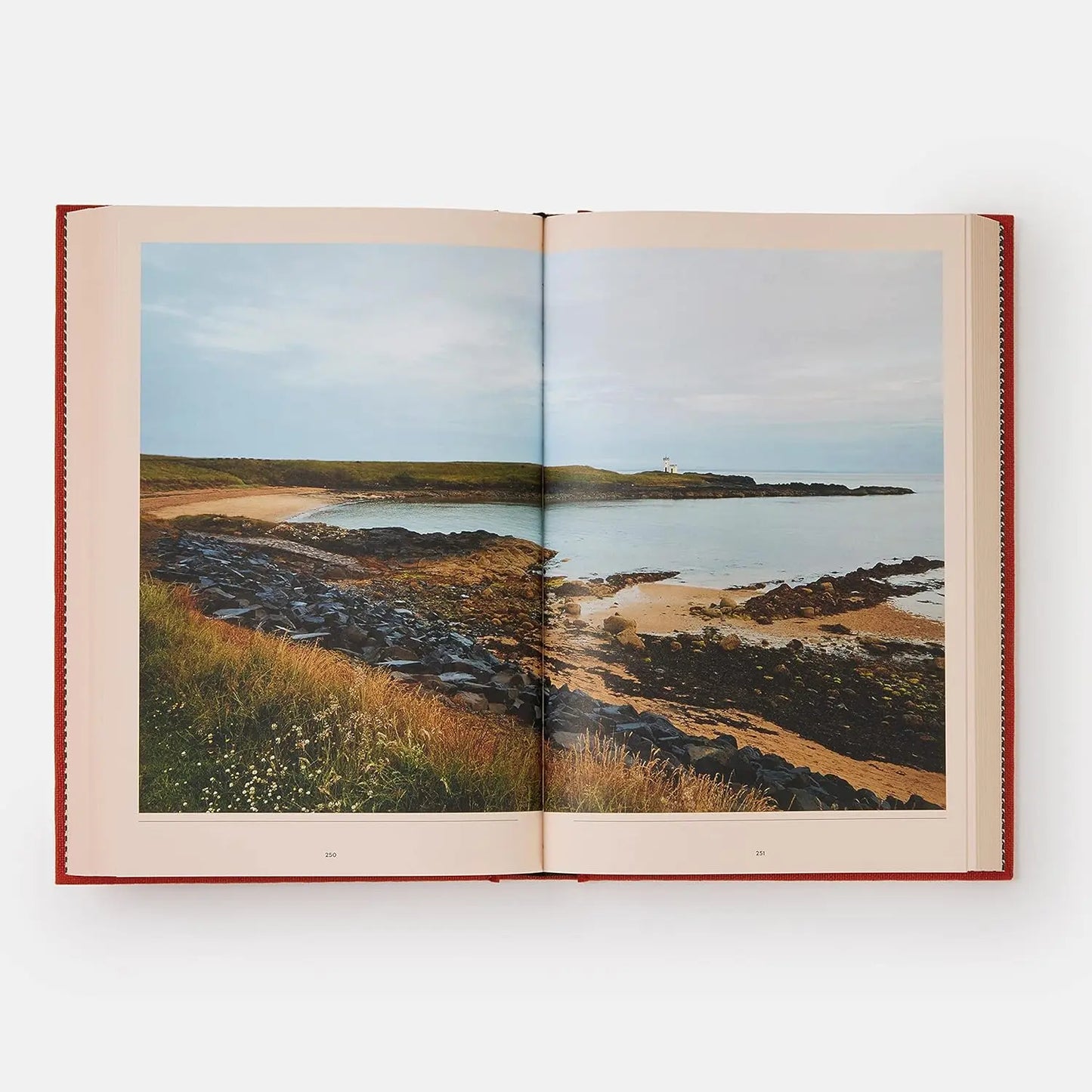 The British Cookbook (2022): authentic home cooking recipes from England, Wales, Scotland, and Northern Ireland (Cucina) Phaidon