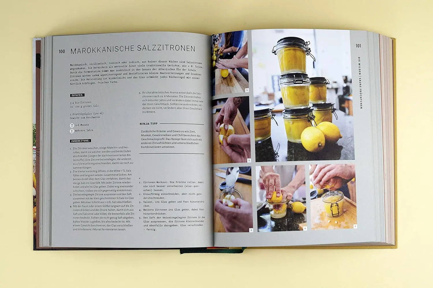 Magic Fermentation: Fermentieren, bis die Gläser überschwappen. 150 Rezepte: für Gemüse, Obst, Sauerteig, Joghurt, Kefir und Kombucha. Gesunde, probiotische Ernährung aus dem Einmachglas Löwenzahn Verlag