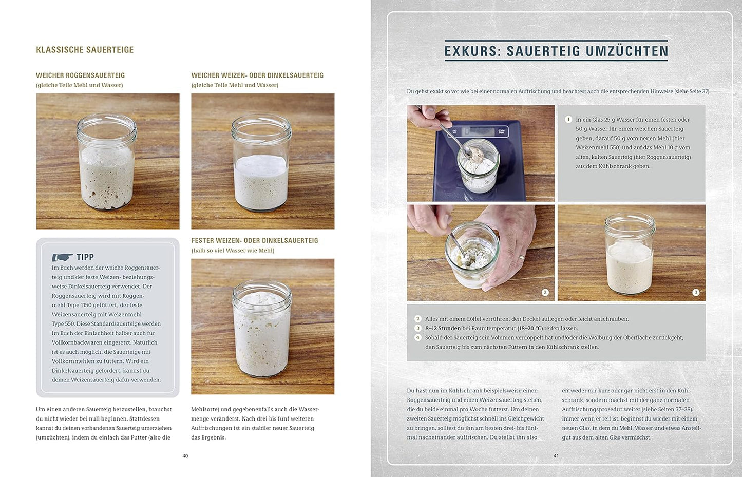 Brot backen in Perfektion mit Sauerteig - Das Plötz-Prinzip! Vollendete Ergebnisse statt Experimente - Lutz Geißlers Brotbacksensation mit einer einfachen Methode – 60 Brotklassiker