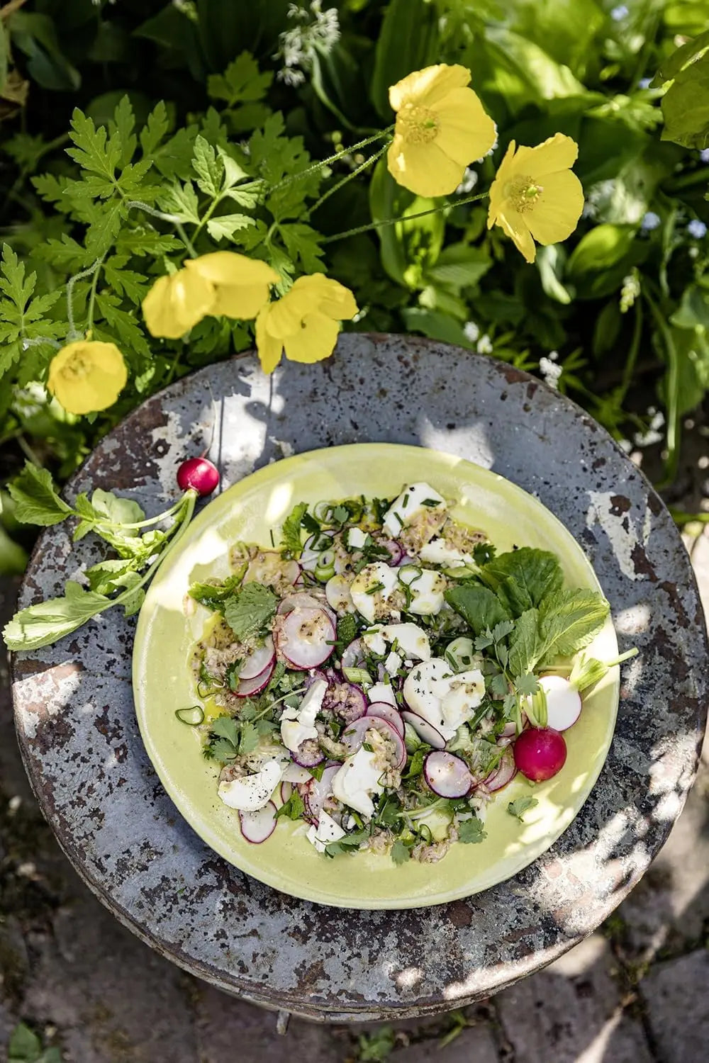 Meine grüne französische Bistro-Küche: Lieblingsrezepte für jeden Tag AT Verlag