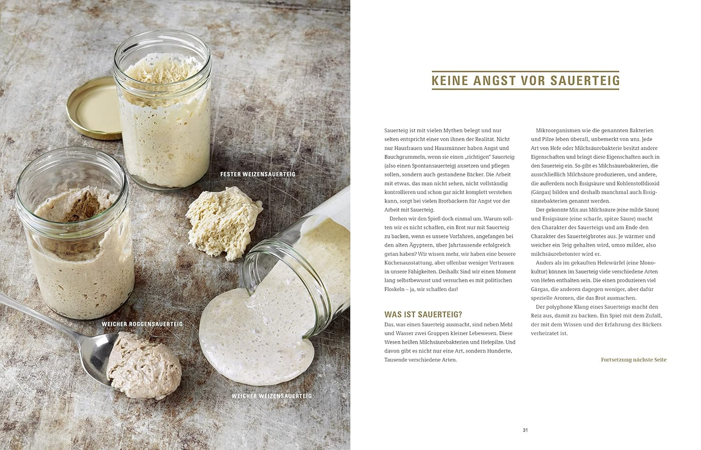 Brot backen in Perfektion mit Sauerteig - Das Plötz-Prinzip! Vollendete Ergebnisse statt Experimente - Lutz Geißlers Brotbacksensation mit einer einfachen Methode – 60 Brotklassiker