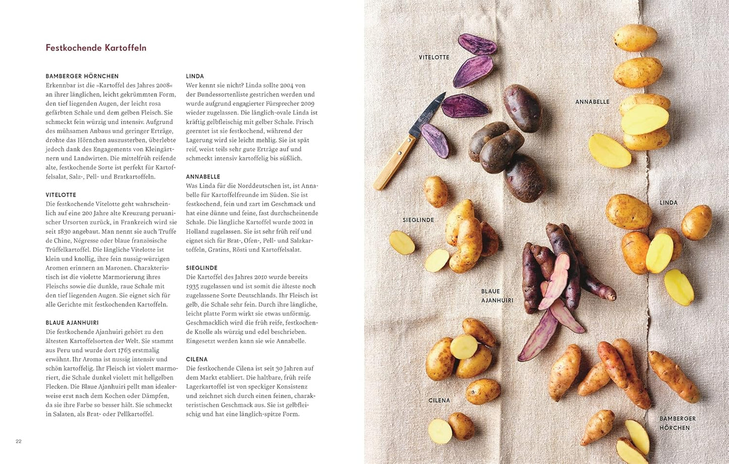 Kartoffelküche - Über 70 herzhafte und süße Rezepte mit der Lieblingsknolle Dorling Kindersley