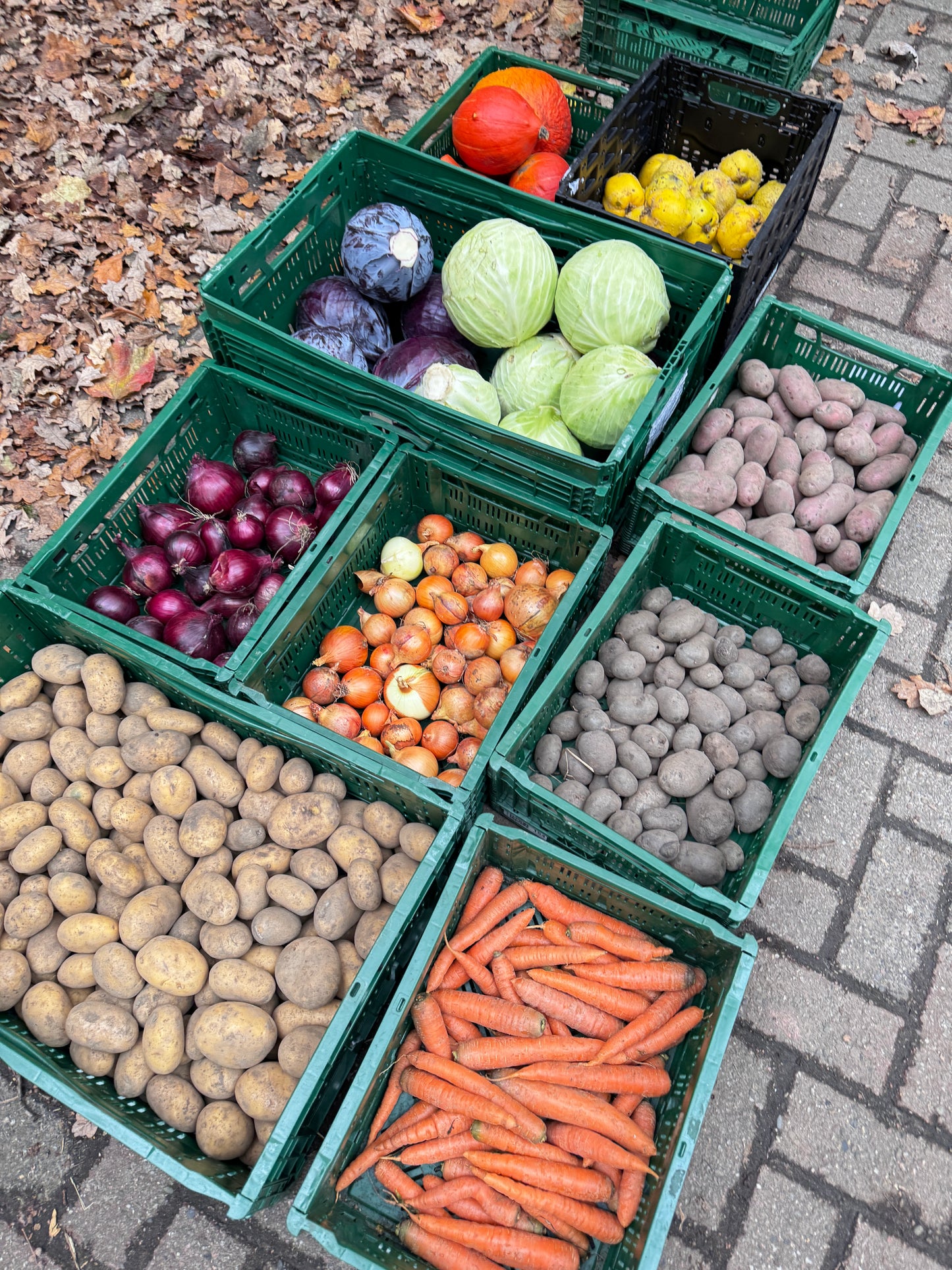 DNA – kann man nicht leugnen 21. März 2026 um 18.30 Uhr