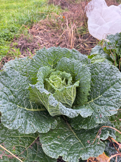 DNA – kann man nicht leugnen 21. März 2026 um 18.30 Uhr