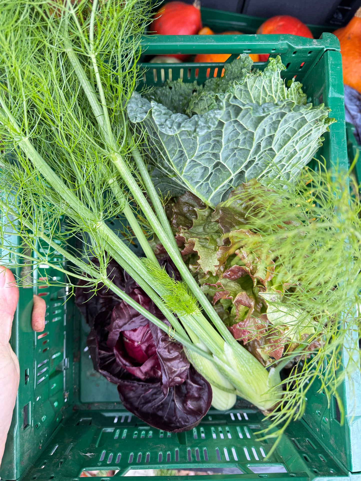 DNA – kann man nicht leugnen 21. März 2026 um 18.30 Uhr