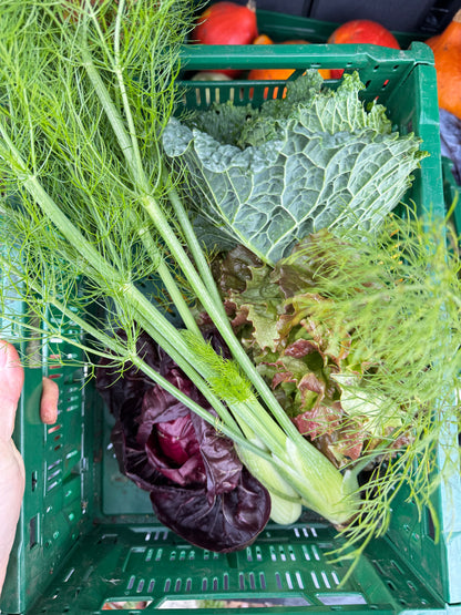 DNA – kann man nicht leugnen 21. März 2026 um 18.30 Uhr