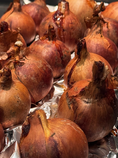 DNA – kann man nicht leugnen 21. März 2026 um 18.30 Uhr