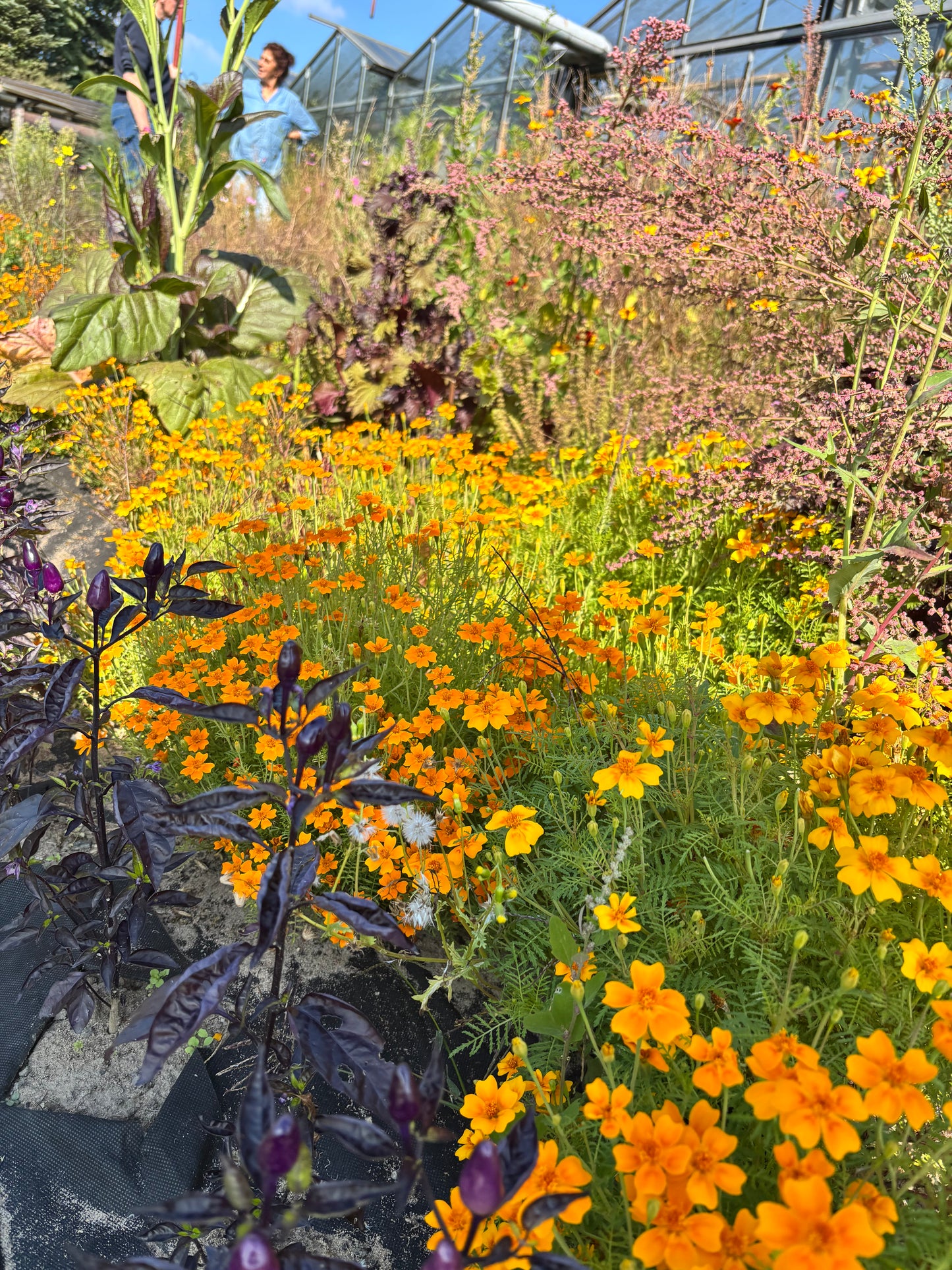 DNA – kann man nicht leugnen 08. Feb 2026 um 12.30 Uhr