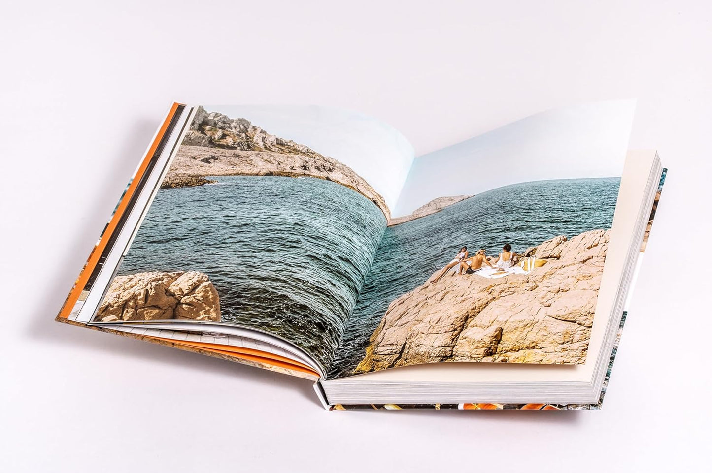 Le Sud - Geschichten und Rezepte aus Südfrankreich - Provence - Alpes - Cote d'Azur - Ausgezeichnet mit dem GAD Award 2025 SILBER